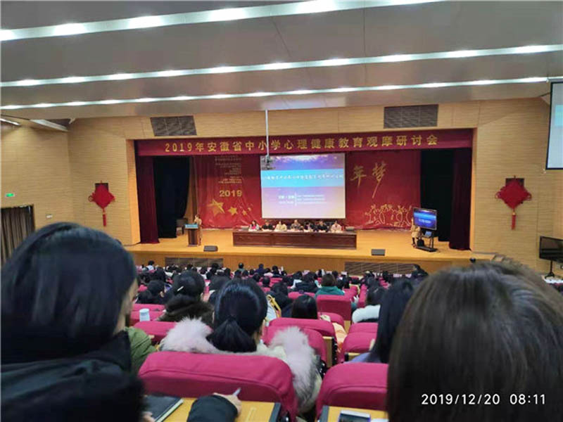 2019年安徽省中小学心理健康教育观摩研讨活动